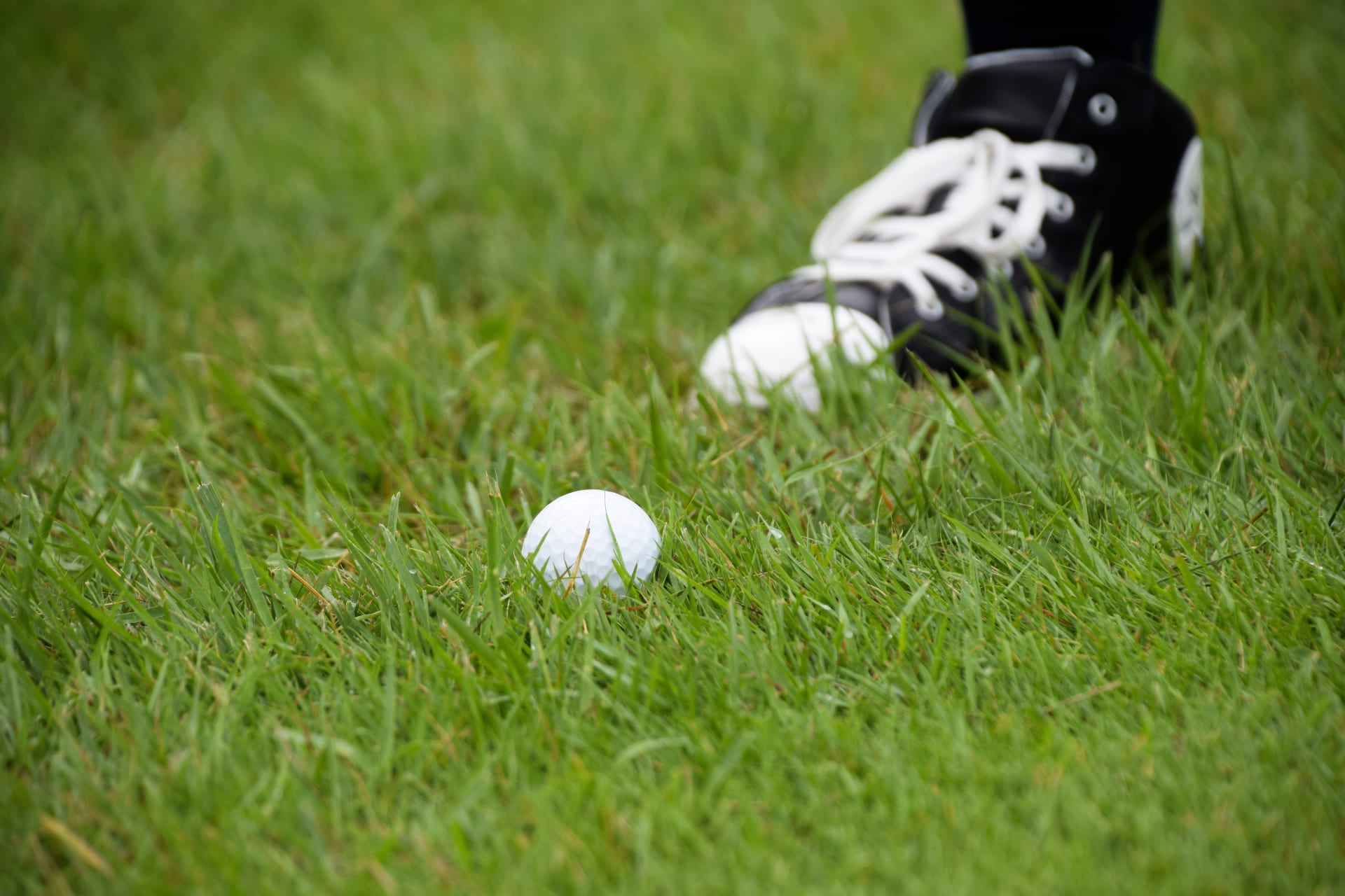ゴルフの誤球 ルール詳細と誤球しないためにやっておきたい対策法 Golftrend ゴルフトレンド