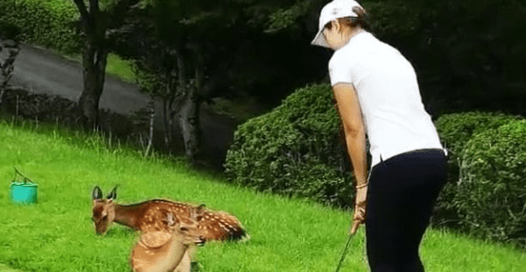 【セキ・ユウティン スイング動画】2019年最新スイング、パーフェクトショット動画など