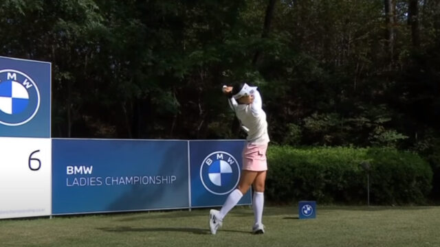 https://golf-trends.net/progolfer/